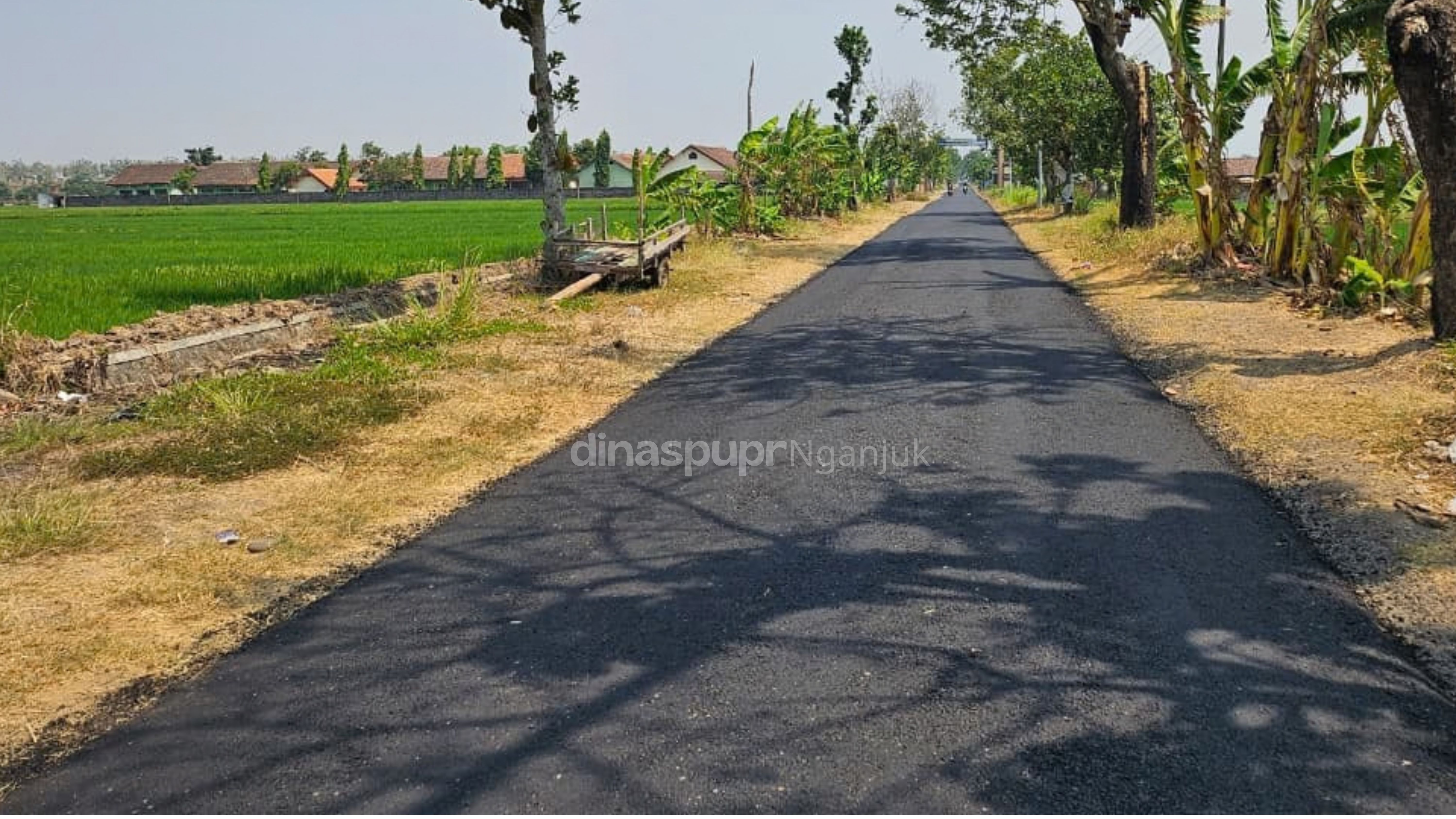 Melintasi Hamparan Sawah, Jalan Wilangan Kini Tampil dengan Wajah Baru
