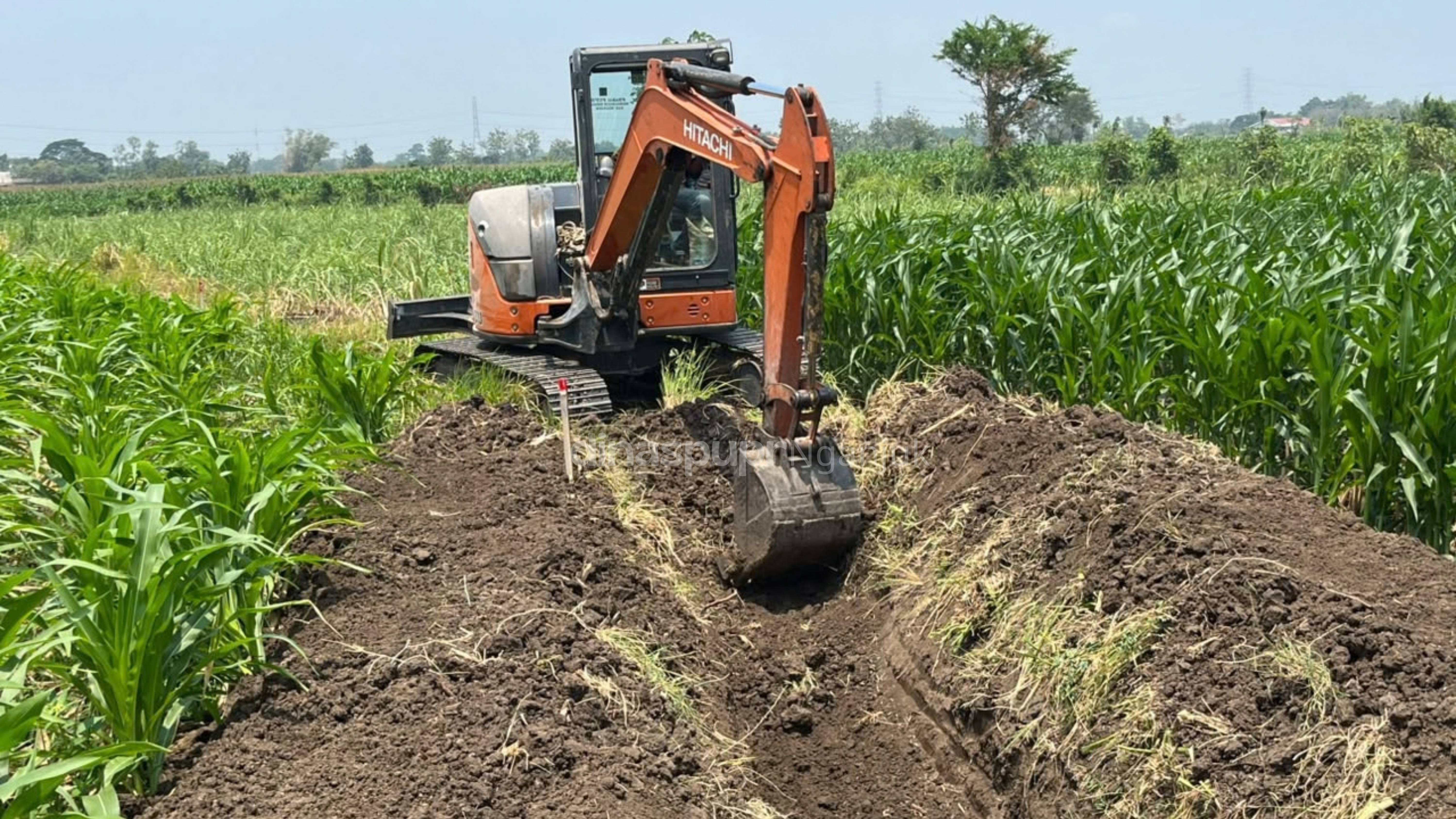 HADIRNYA SIPPON, ADUAN MASYARAKAT BERUJUNG PADA TINDAKAN NYATA