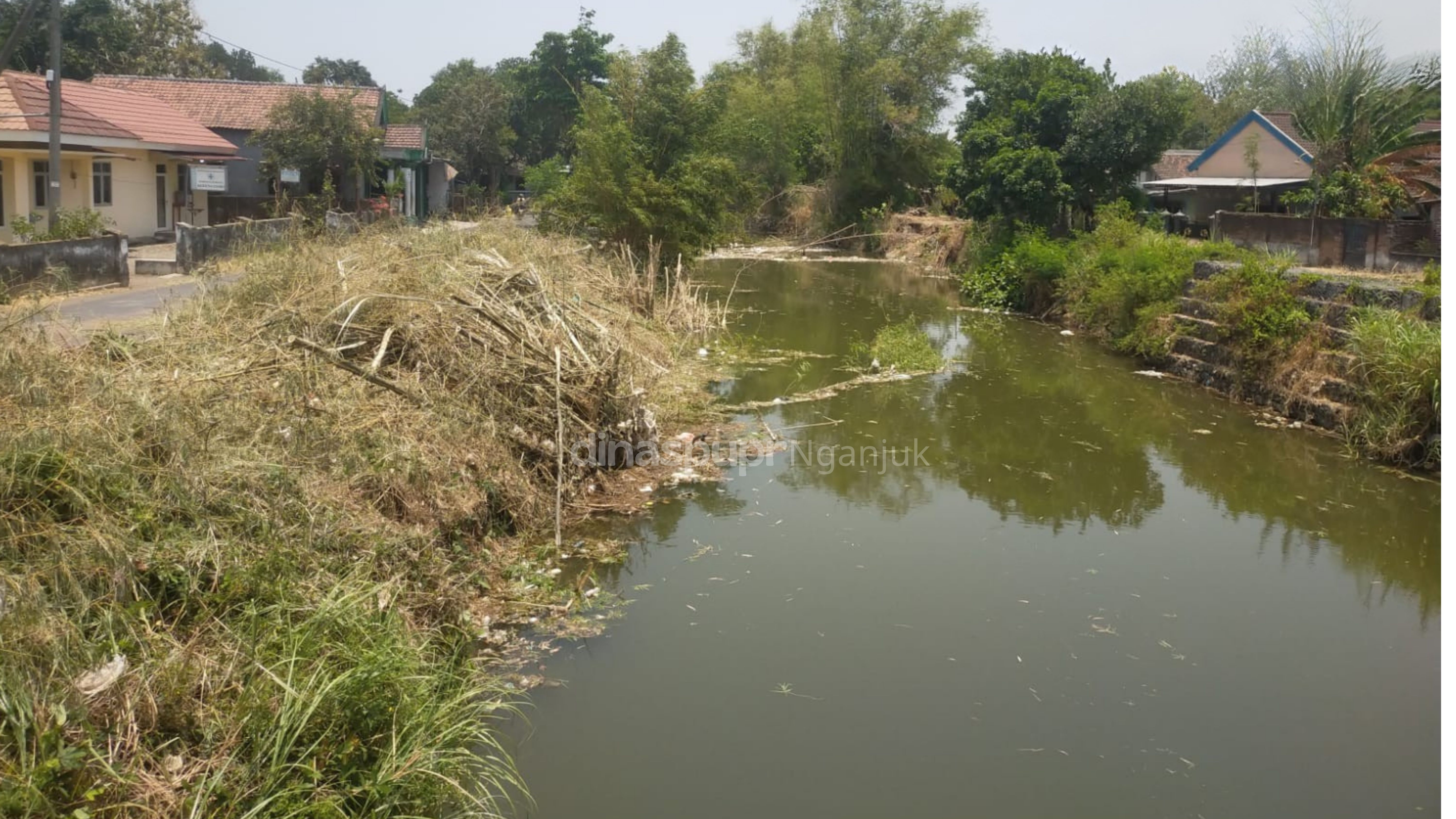 Rumpun Bambu Sumbat Sungai Bodor di Kedungombo, Dinas PUPR Nganjuk Tuntaskan Penanganan